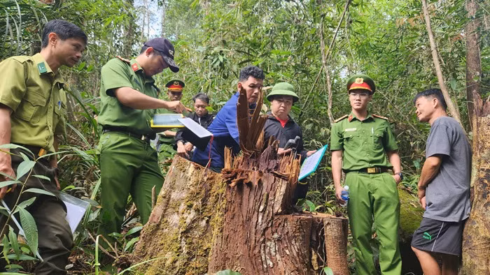 Bắt nhóm “lâm tặc”, nhiều cán bộ Công an được khen thưởng -0