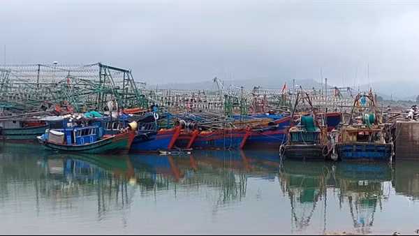Phú Yên đề xuất hỗ trợ đầu tư hai nơi tránh bão cho tàu cá