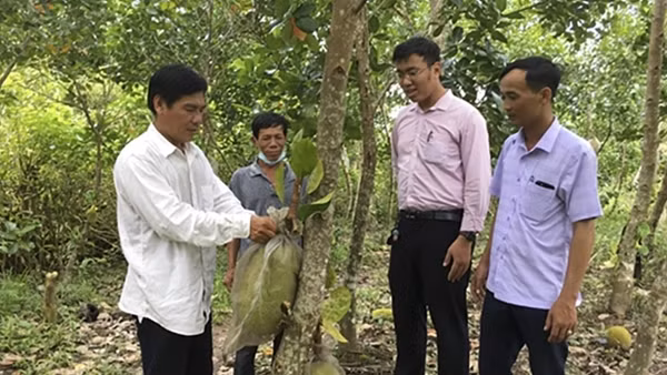 “Cầu nối” chuyển tải hiệu quả nguồn vốn tín dụng chính sách