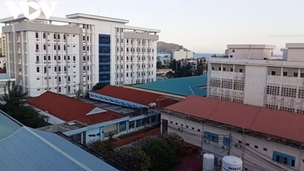 bd22-1671068229371.jpg