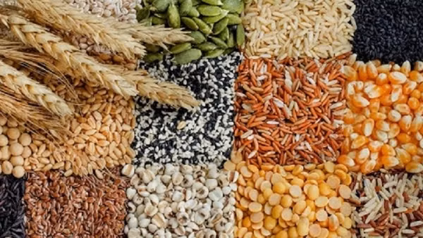 Nhân loại có đủ tài nguyên cho tương lai?