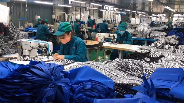 Doanh nghiệp đã tận dụng hiệu quả ưu đãi thuế quan theo các FTA ảnh 2