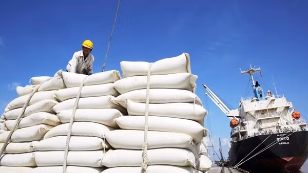 Philippines là thị trường xuất khẩu gạo lớn nhất của Việt Nam