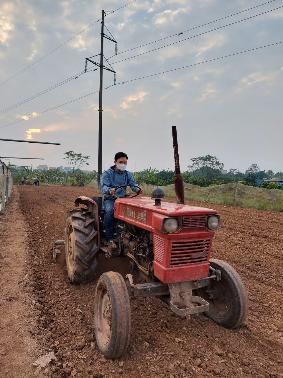 Vì sao nông dân điêu đứng với VietGAP? -0