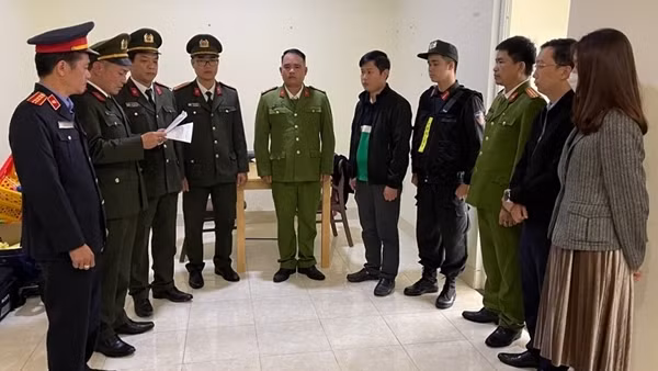 Thiết kế, thẩm định tận thu gỗ rừng thông trái quy định, gây thất thoát Nhà nước hơn 5,6 tỷ đồng