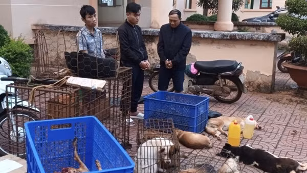 Vừa ra tù lại sắm dao rựa, súng bắn điện đi trộm chó