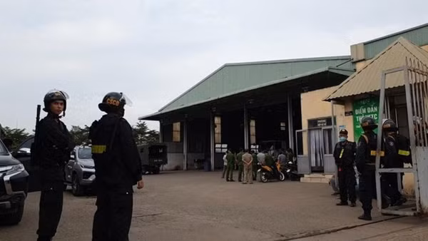 Hai trung tâm đăng kiểm tại TP Hồ Chí Minh bị tạm đình chỉ hoạt động