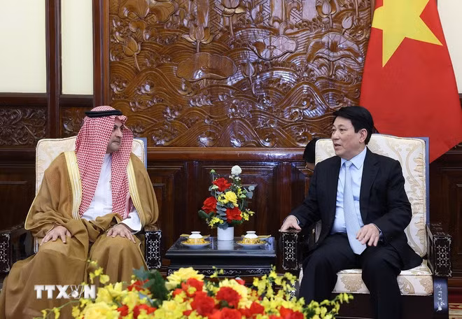 Chủ tịch nước tiếp các Đại sứ Saudi Arabia và Philippines chào từ biệt -0