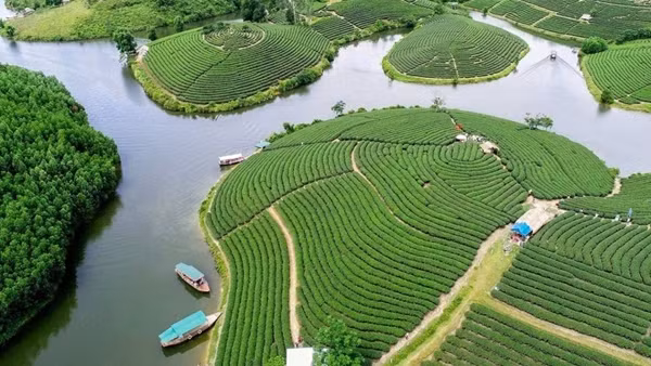 Dự án nghìn tỷ Đảo chè - Cầu Cau “treo” đến bao giờ?