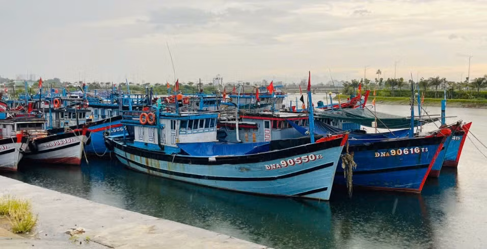 Đà Nẵng chủ động ứng phó bão số 5 theo phương châm “4 tại chỗ”, cấm biển từ 24/8 -0