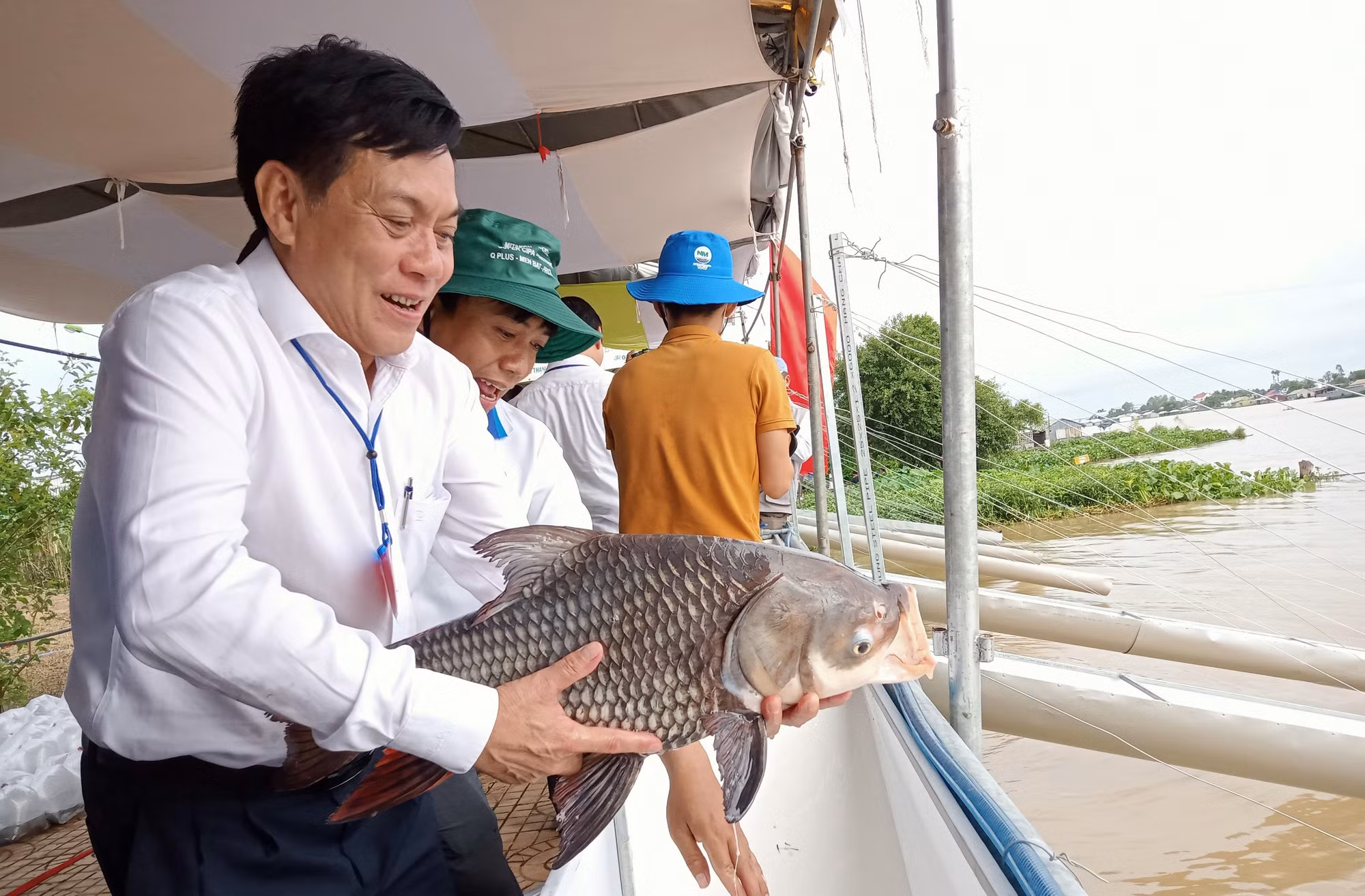 Thả trên 1 triệu con cá, tôm giống xuống sông Hậu -0