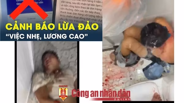 Tỉnh mộng những giấc mơ hoang