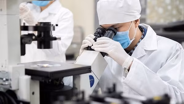 14 nhà khoa học Việt Nam có tên trong Bảng xếp hạng thế giới