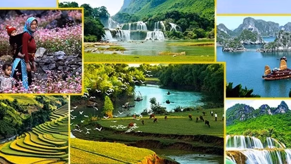 Du lịch Việt Nam tăng lượng tìm kiếm trên Google