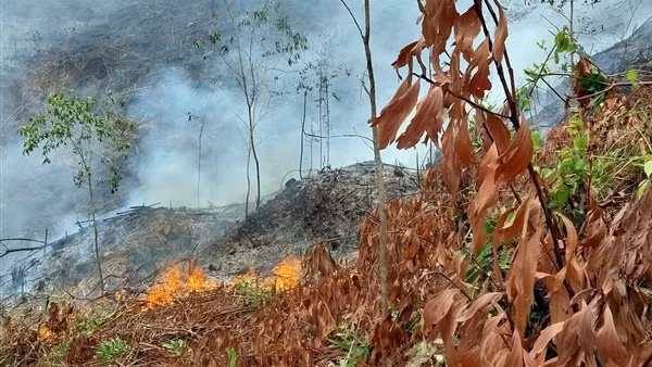 Đốt dọn thực bì gây cháy rừng, người đàn ông bị bỏng tử vong