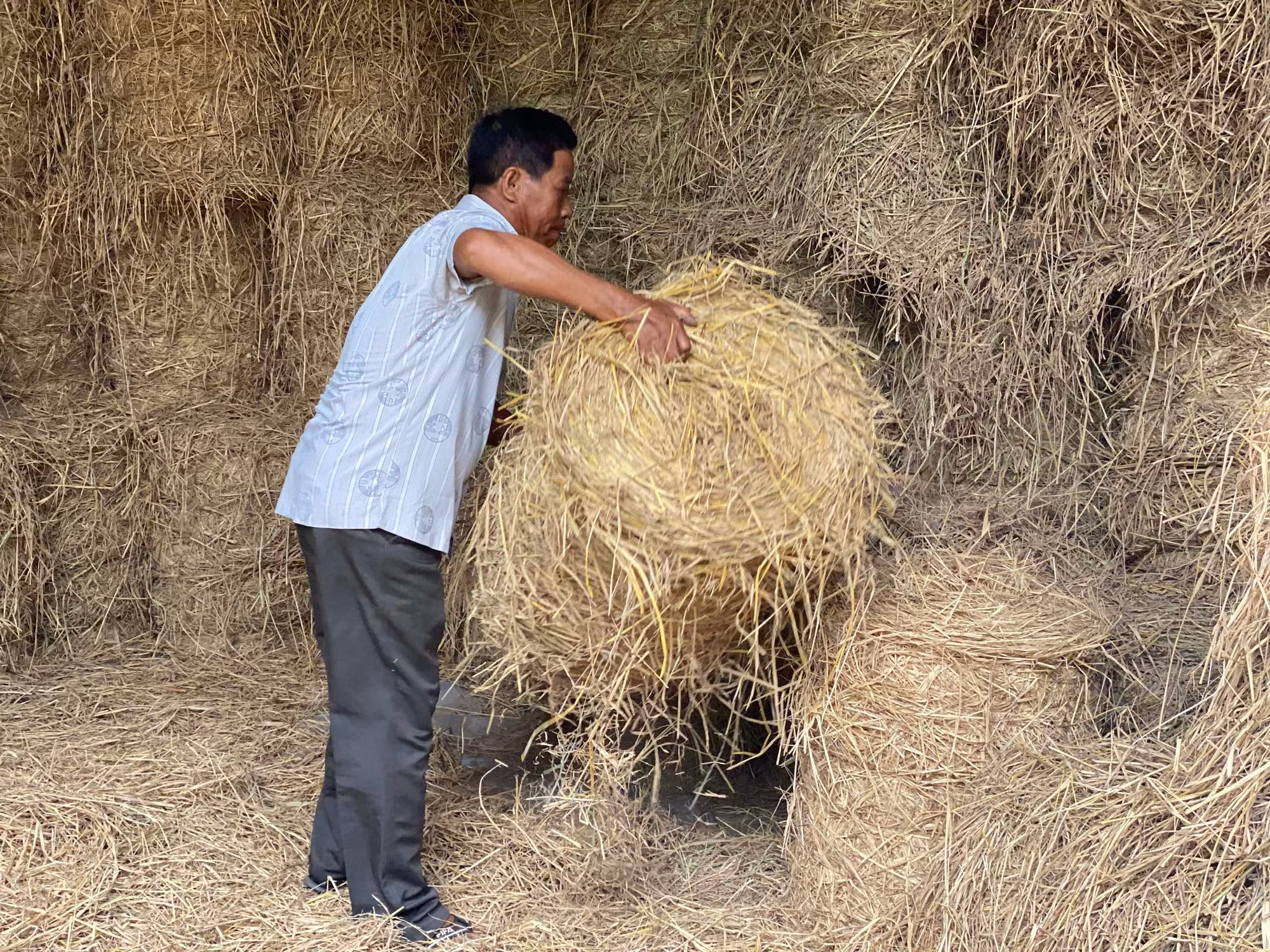 Những đổi thay trong cuộc sống của đồng bào Khmer ở Sóc Trăng -0