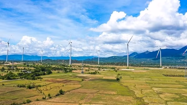 Khuyến cáo những tranh chấp liên quan dự án năng lượng tái tạo