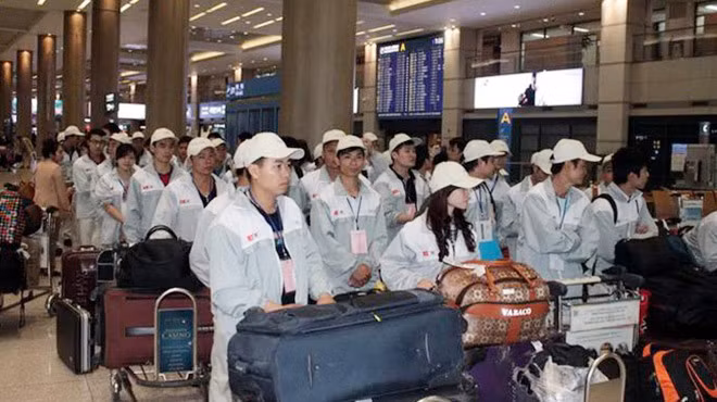 Người lao động có nhu cầu lao động ở nước ngoài cần tìm hiểu rõ thông tin để tránh bị lừa đảo. Ảnh minh họa.