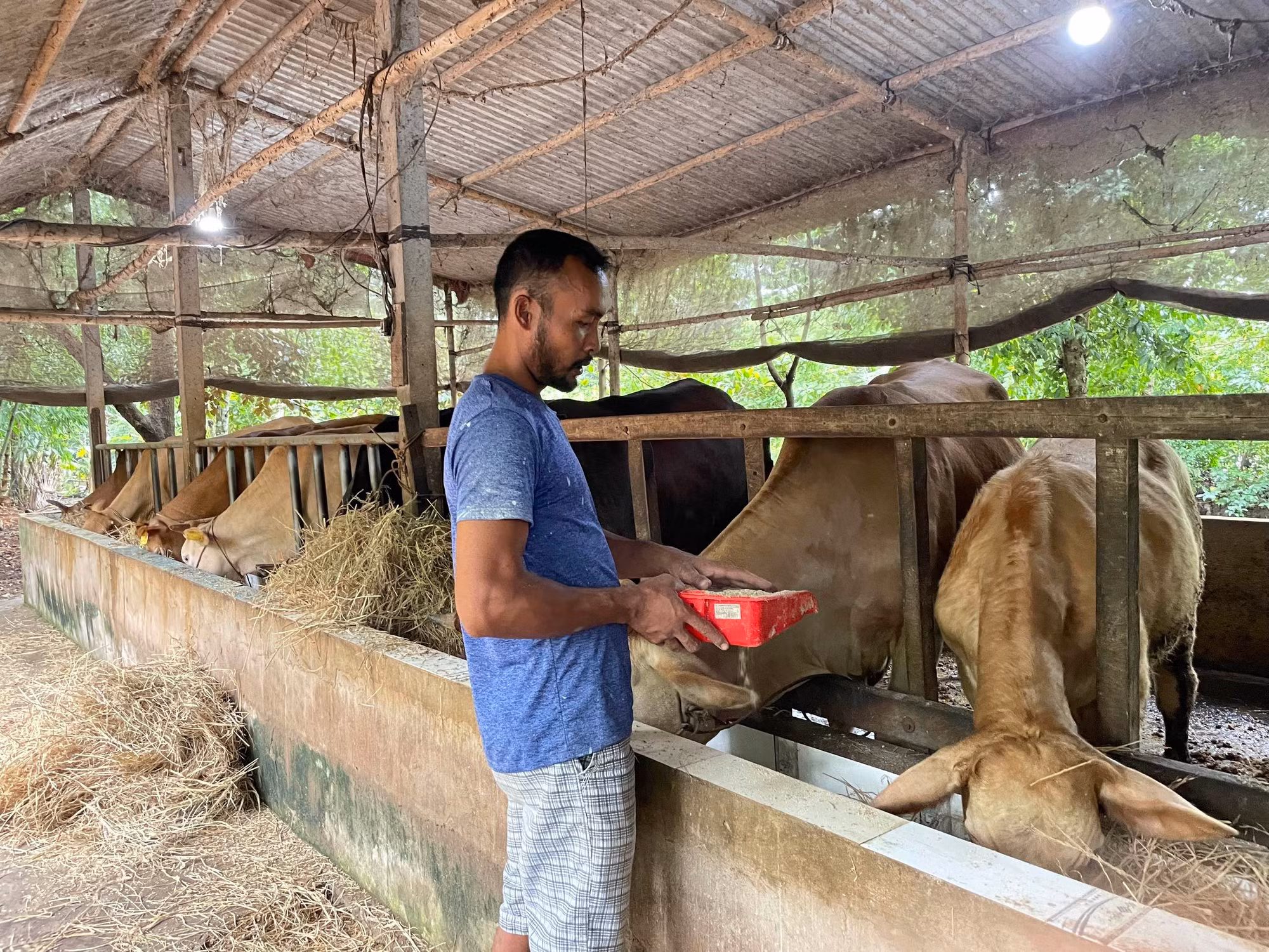 Những đổi thay trong cuộc sống của đồng bào Khmer ở Sóc Trăng -0