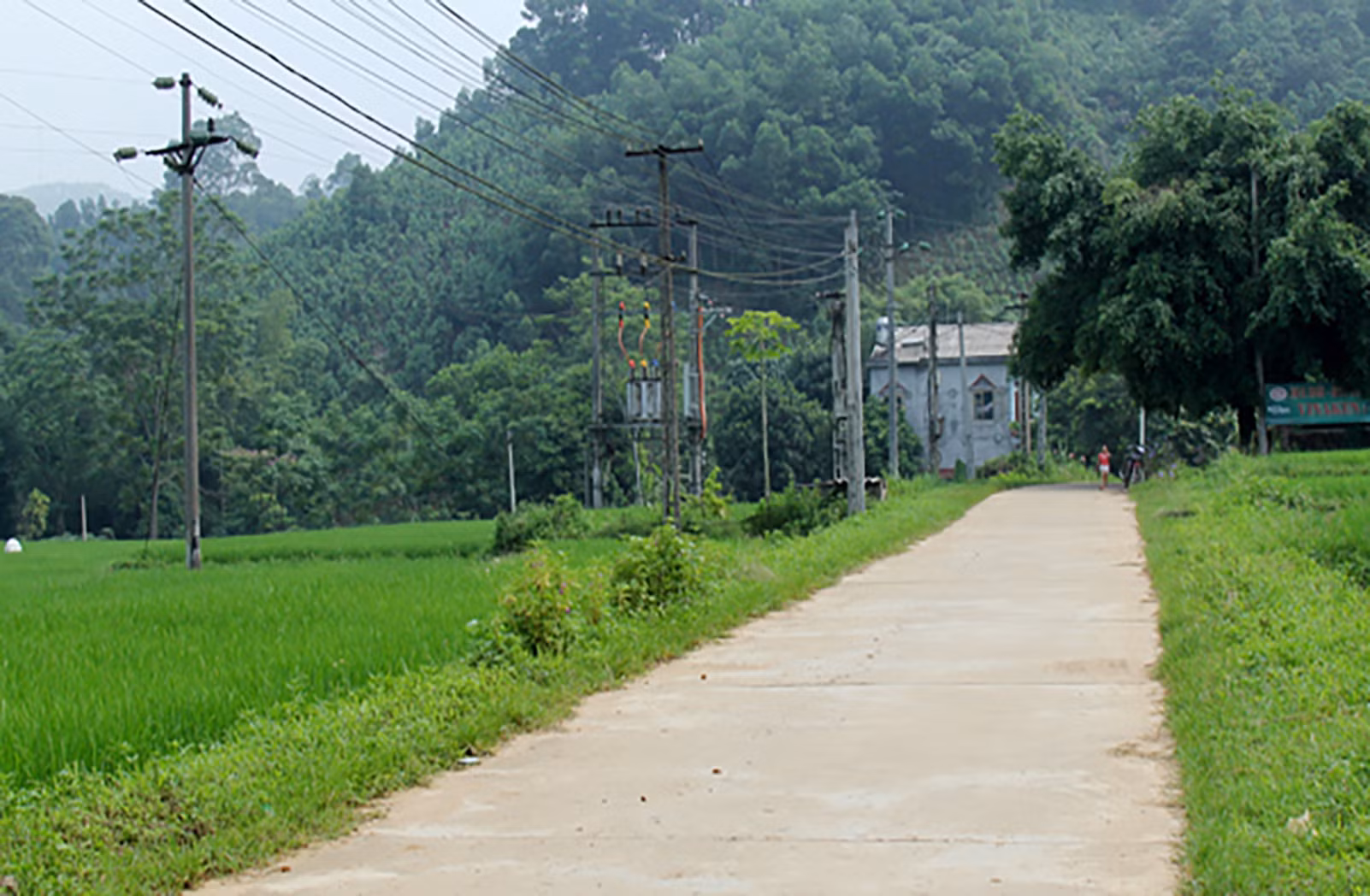 Ghen tuông đâm tình địch tử vong -0