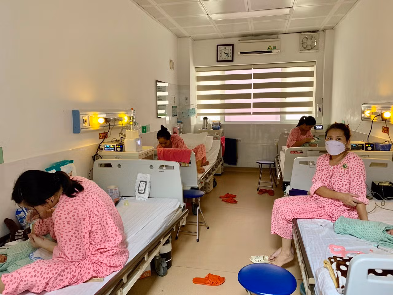 sản 1.jpg -0