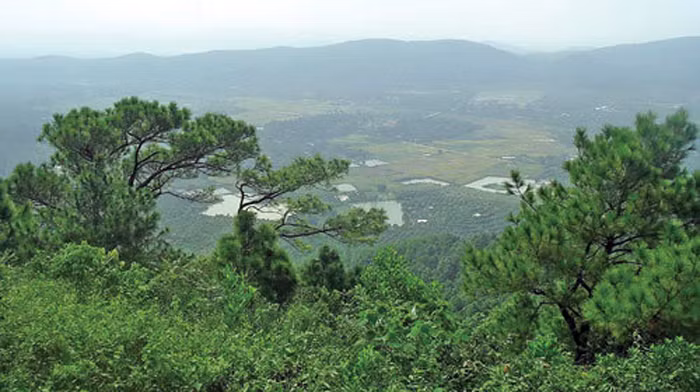 image003.jpg -0