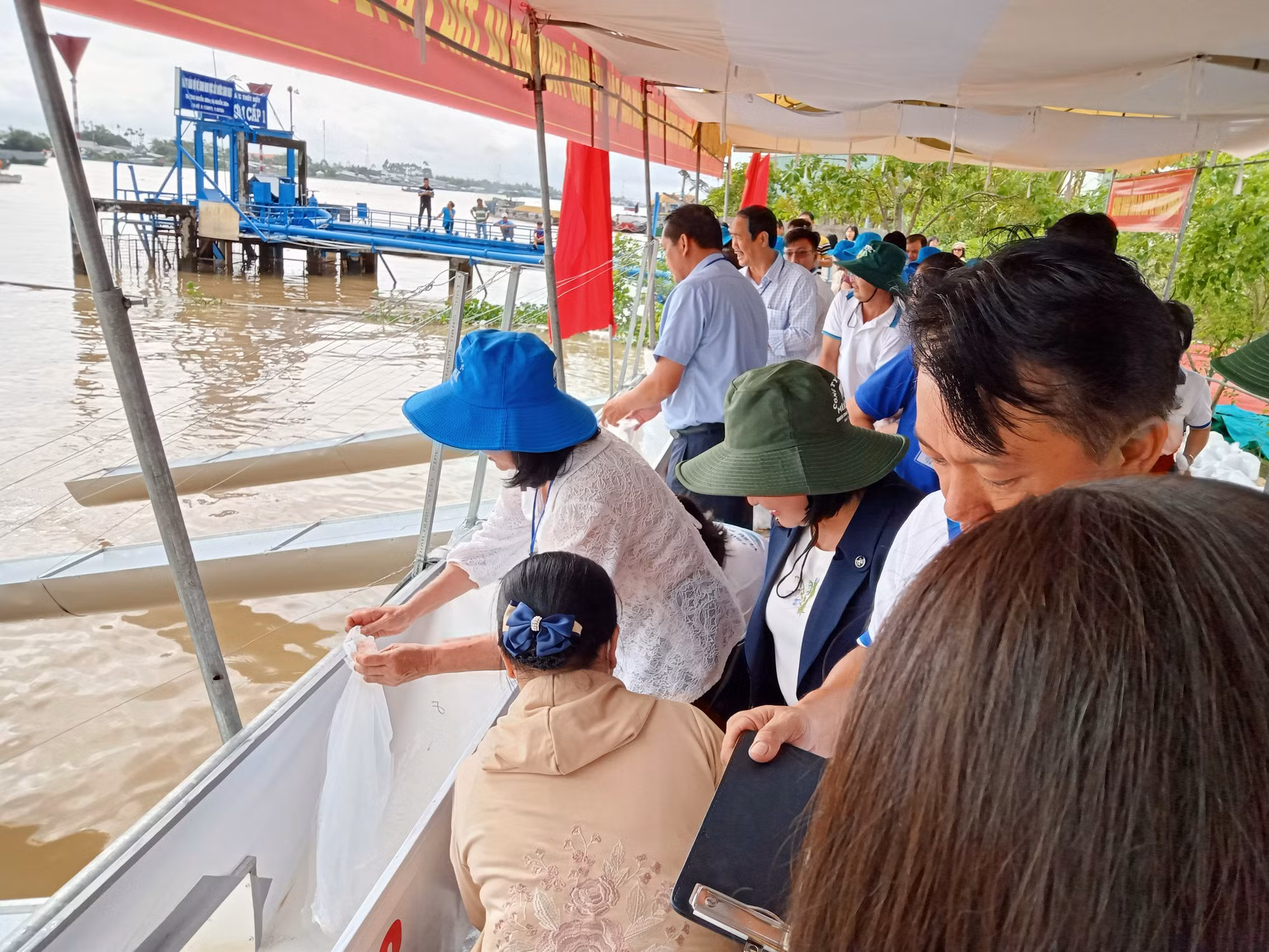 Thả trên 1 triệu con cá, tôm giống xuống sông Hậu -3