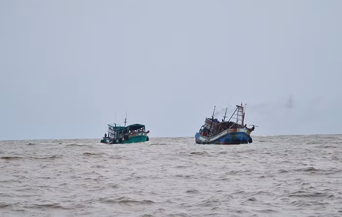 Cà Mau triển khai đồng bộ các giải pháp chống khai thác IUU -0