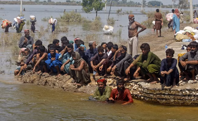 Nhiều vùng Pakistan chìm trong bão lũ và đói -0