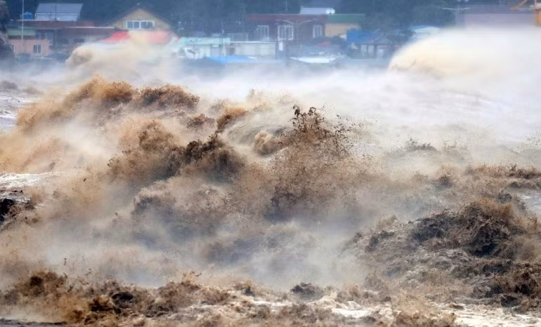 Sóng lớn do ảnh hưởng của bão Hinnamnor tại khu vực Pohang, Hàn Quốc. Ảnh Reuters.