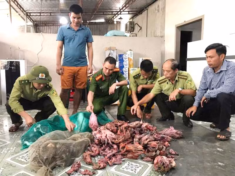 Chim trời vẫn bán công khai tại nhiều địa phương ở Hà Tĩnh -0