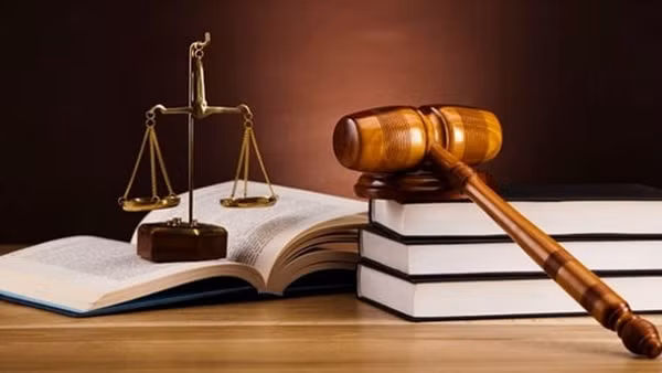 Rà soát các luật thuế trình cấp có thẩm quyền xem xét, sửa đổi