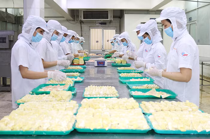 Nỗ lực để ngành thực phẩm tham gia sâu vào chuỗi cung ứng toàn cầu -0