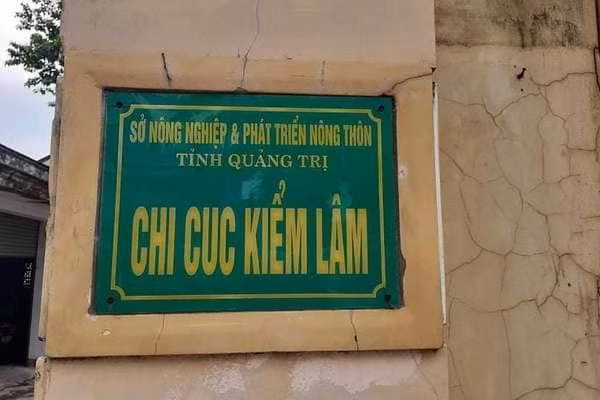 Chi cục trưởng Kiểm lâm Quảng Trị bị cách hết chức vụ trong Đảng