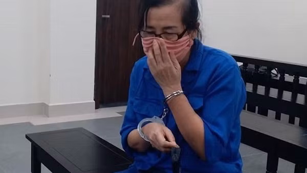 Phạt tù 17 năm nữ giám đốc chiếm đoạt hơn 11 tỷ đồng của đối tác