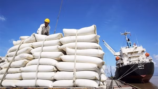 Bộ Ngoại giao nói gì trước tin đồn Việt Nam sẽ tăng giá gạo xuất khẩu?