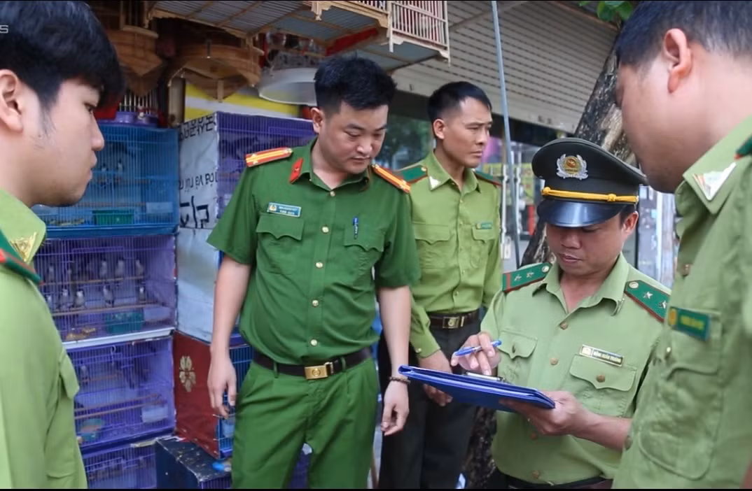 Tăng cường kiểm tra liên ngành trong xử lý vi phạm về bảo vệ động vật hoang dã, chim di cư -0