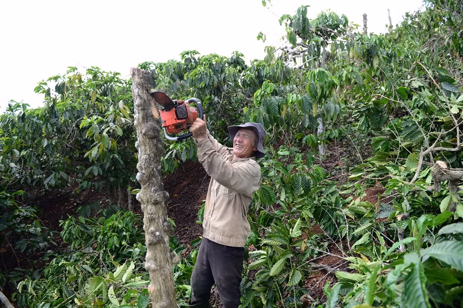 Tháo gỡ từng “điểm nghẽn”, tăng tốc hai tuyến cao tốc chiến lược của Lâm Đồng -0