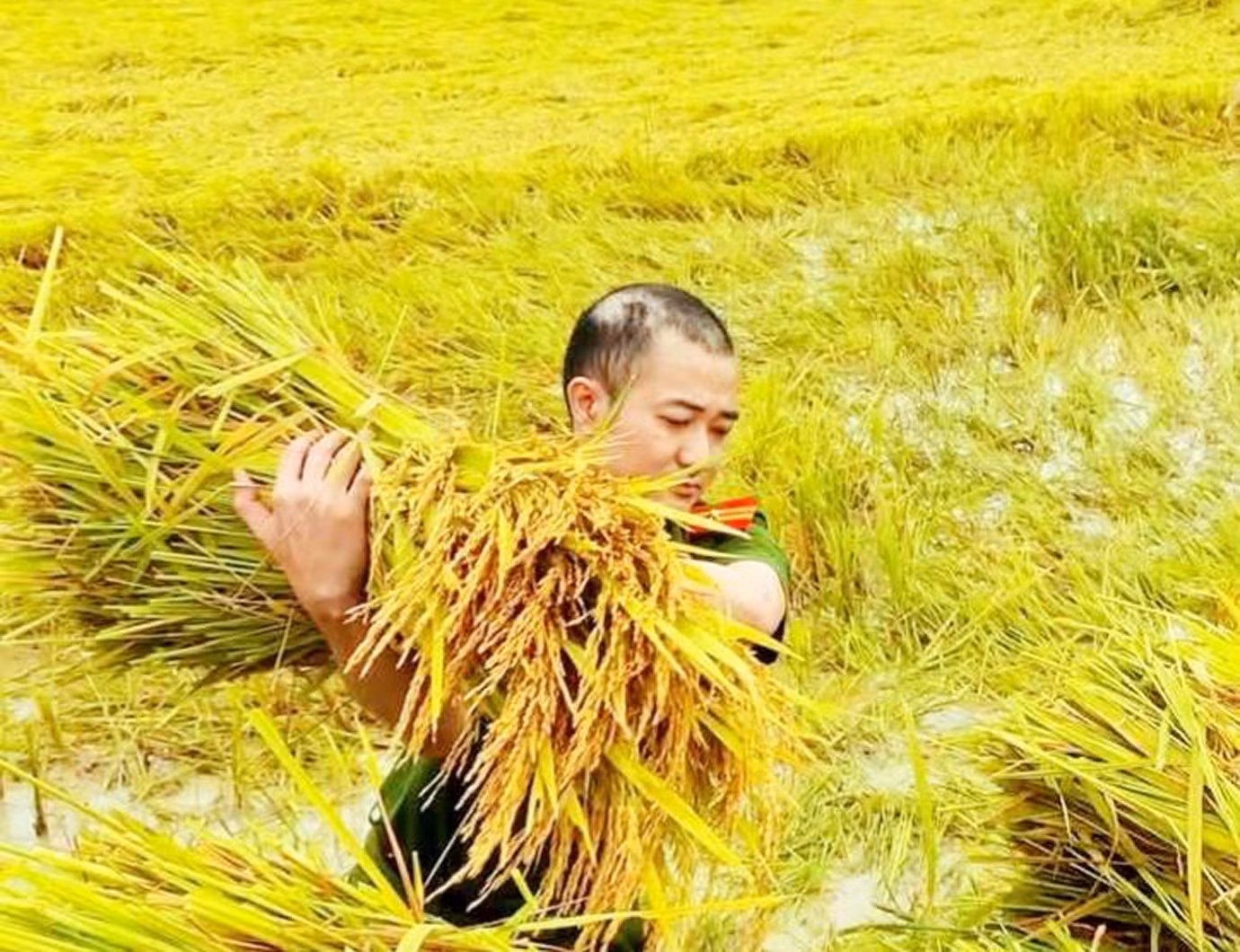 Lực lượng Công an dầm mình giúp dân khắc phục hậu quả giông lốc -0