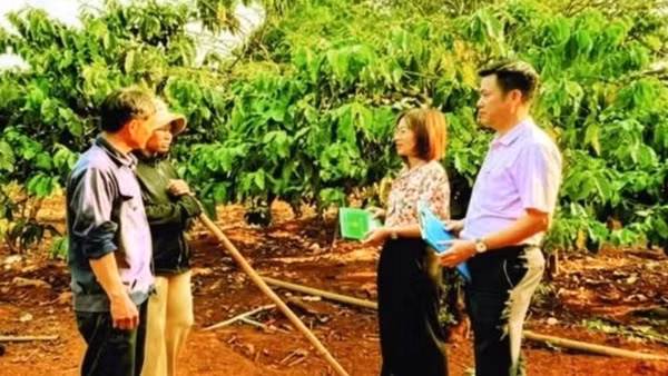 Tăng cường giám sát hoạt động tín dụng chính sách