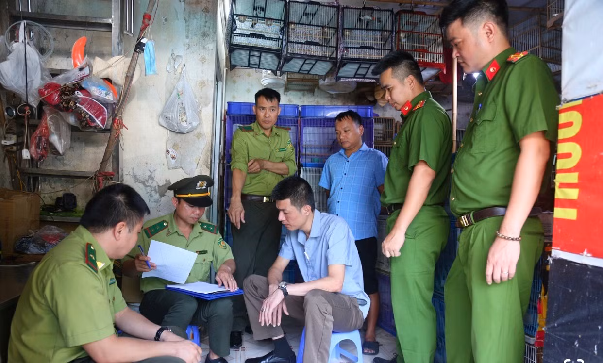 Tăng cường kiểm tra liên ngành trong xử lý vi phạm về bảo vệ động vật hoang dã, chim di cư -0