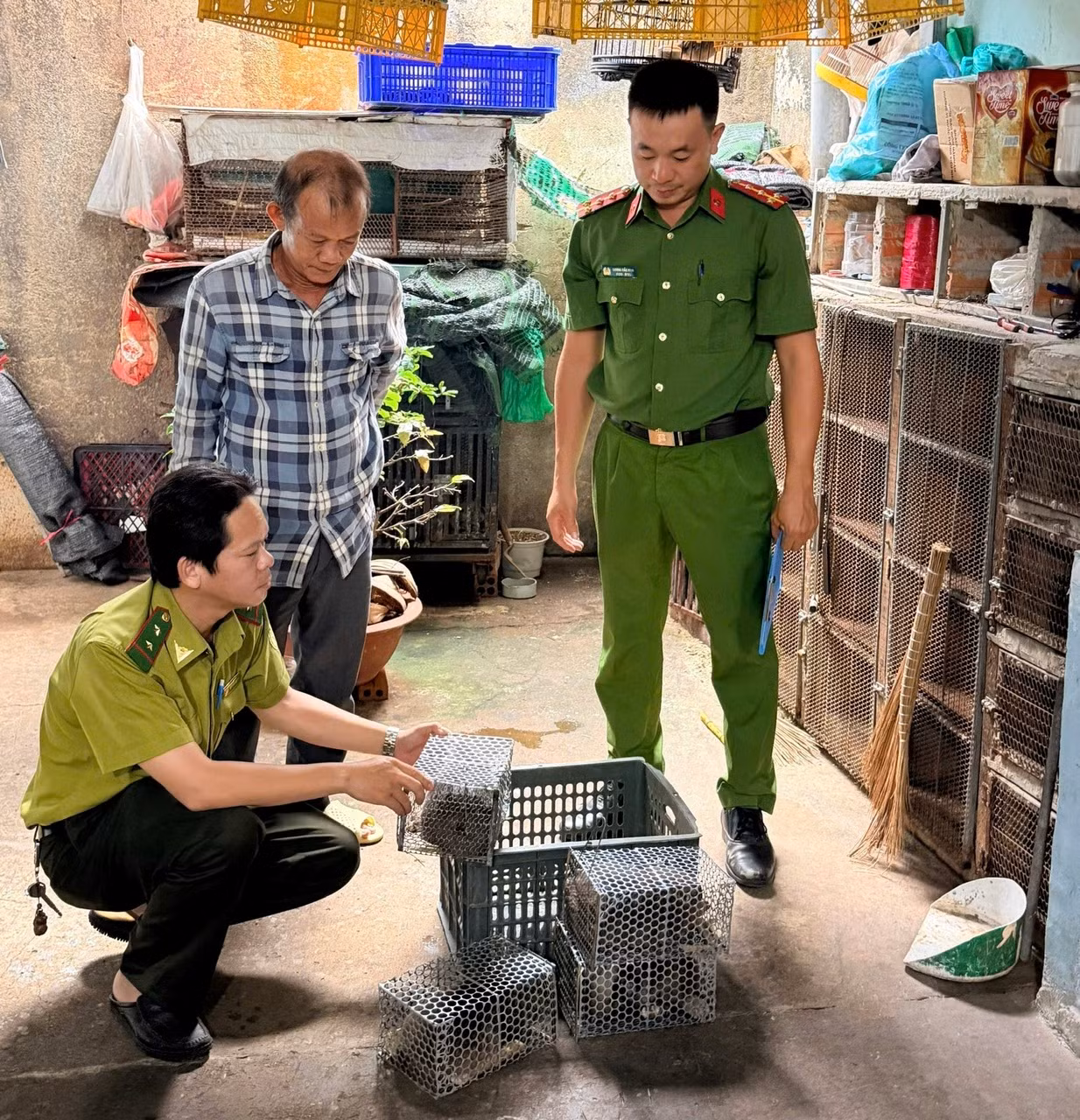 Công an các địa phương liên tiếp giải cứu, tái thả hàng trăm cá thể động vật hoang dã -0