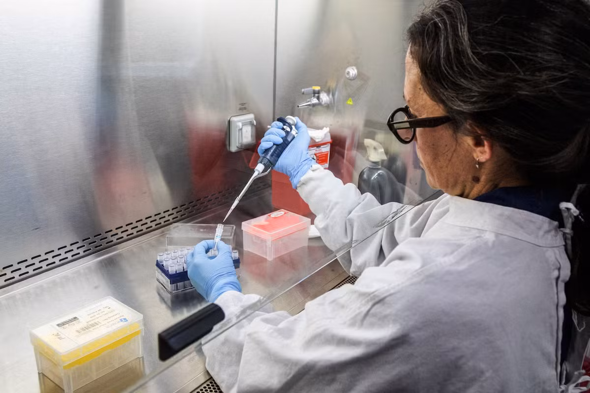 Chuyên gia: Virus Hanta nguy hiểm, nhưng không lây lan như COVID-19 -0