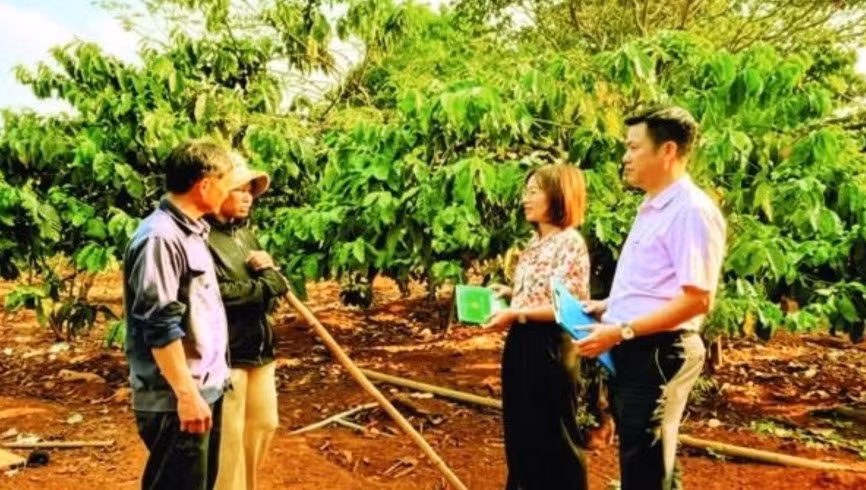 Tăng cường giám sát hoạt động tín dụng chính sách -0
