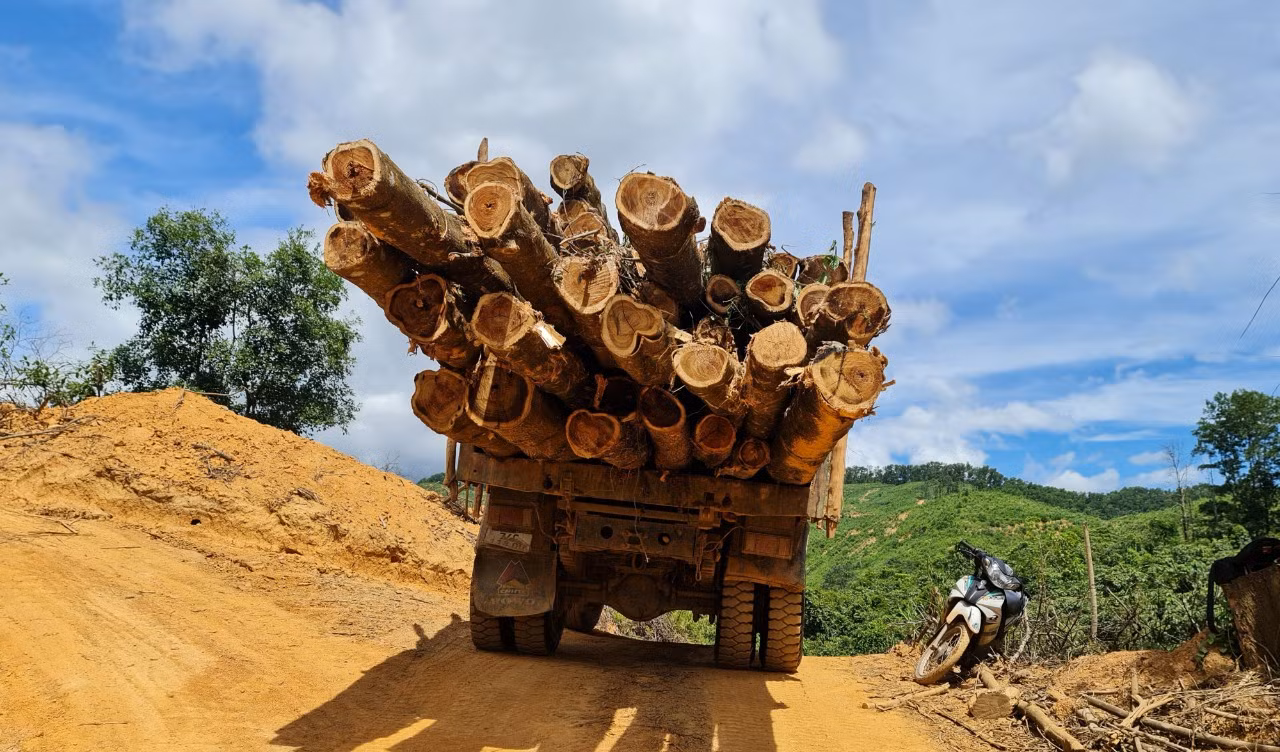 Buông lỏng quản lý, bảo vệ rừng đầu nguồn -1
