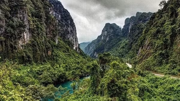 Đặt bẫy ảnh để xác minh thực hư hổ xuất hiện ở Phong Nha - Kẻ Bàng