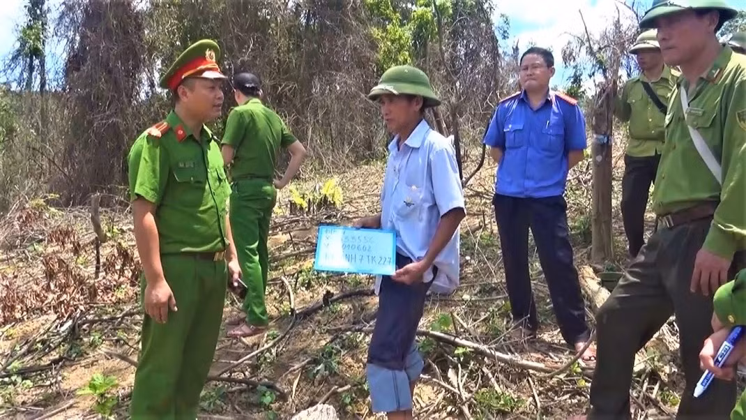 Phá rừng để trồng keo, 4 người dân bị khởi tố -0