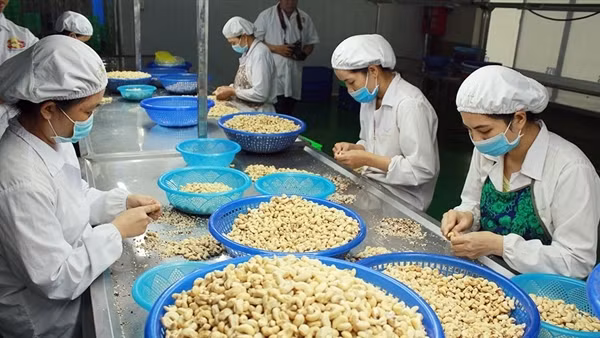 Hỗ trợ mạnh mẽ cho doanh nghiệp xuất khẩu