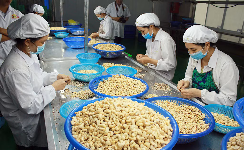 Hỗ trợ mạnh mẽ cho doanh nghiệp xuất khẩu -0