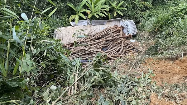 Xe tải lao xuống vực, tài xế và phụ xe thoát chết trong gang tấc